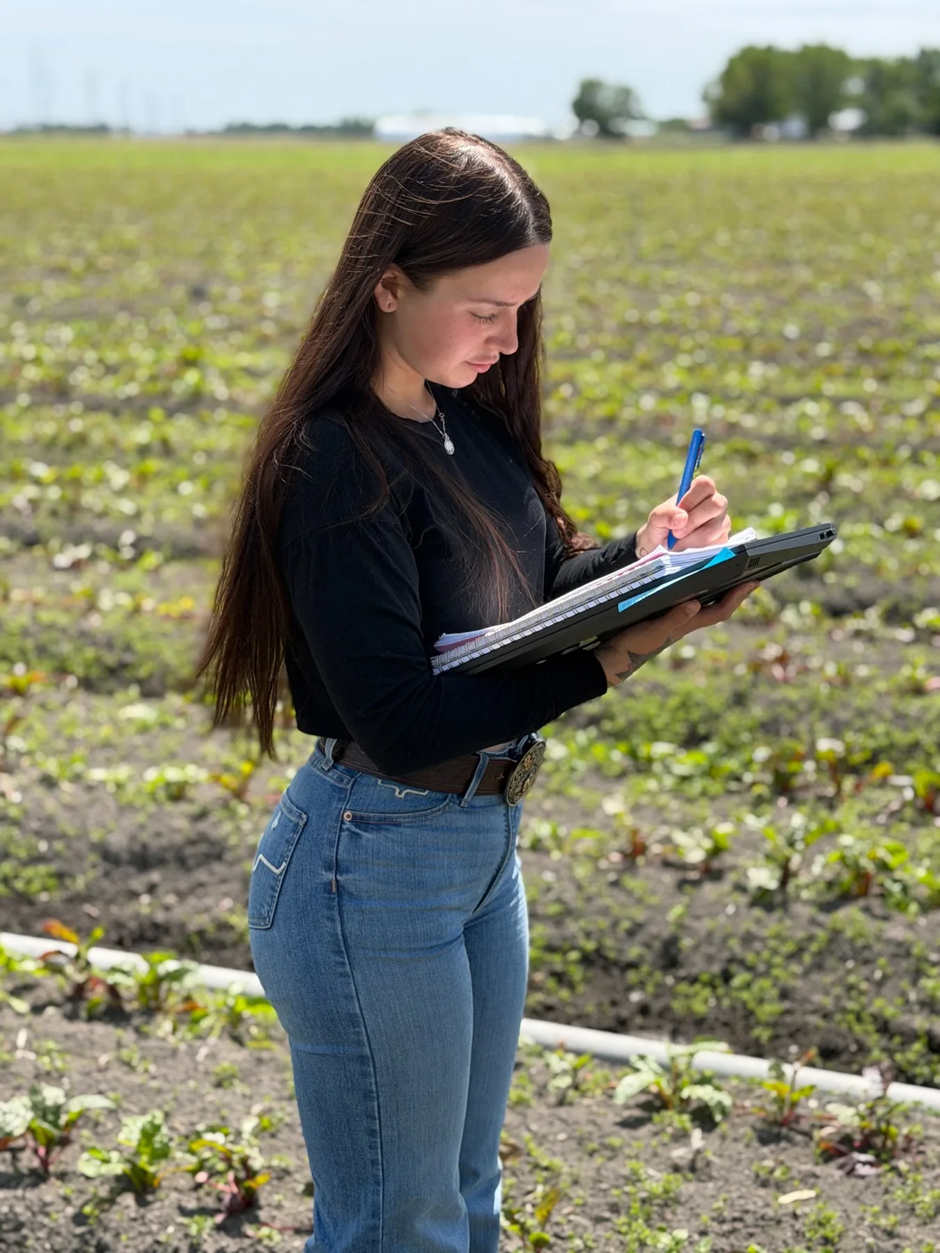Travail d’analyse en serre avec ordinateur et plantules